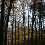 IMG_0004