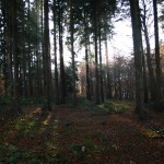 IMG_0005