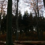IMG_0008