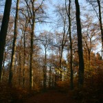 IMG_0009