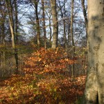 IMG_0023