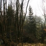 IMG_0027