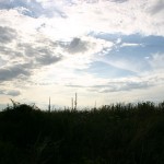 IMG_1878