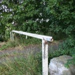 IMG_2034