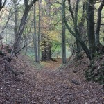 IMG_7552007