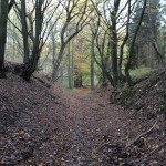 IMG_7553008