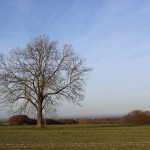 IMG_7554009