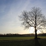 IMG_7558012