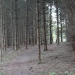IMG_7561014