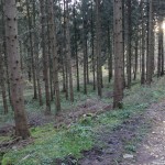 IMG_7594042