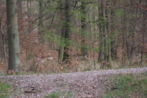 IMG_0034